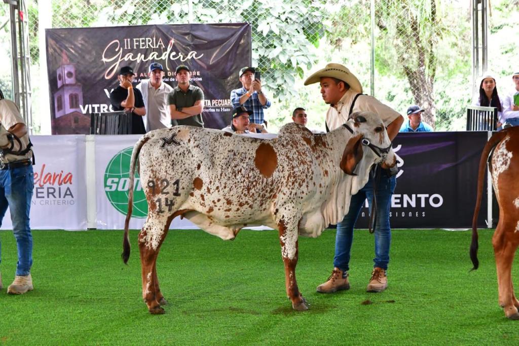 Infider apoyó las fiestas de La&nbsp;Celia